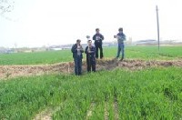 南陽(yáng)市農(nóng)科院試驗(yàn)基地土地確權(quán)項(xiàng)目